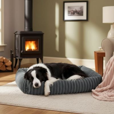 panier pour chien confort orthopedique