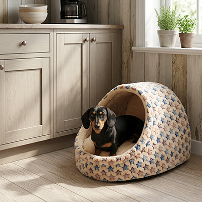 panier pour chien nid cocon beige avec teckel