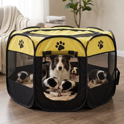 Parc pour chien jaune grande ouverture maille respirante