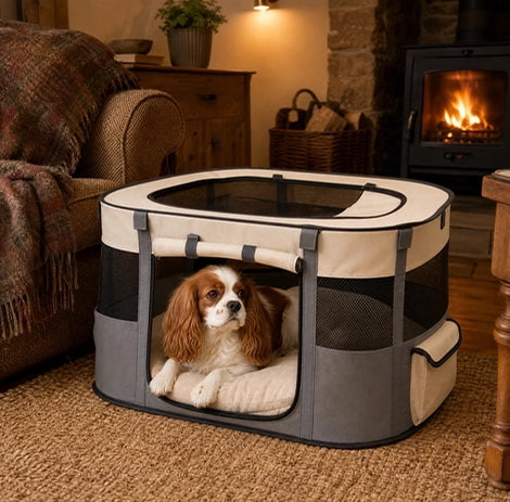 Parc pour chien pliable gris avec chien sur coussin près d'une cheminée