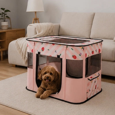 parc pour chien rose avec chiot et proprietaire a cote
