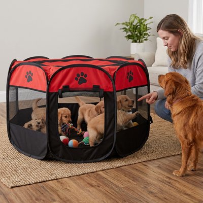 Parc pour chien rouge pliable fond imperméable sécurisé