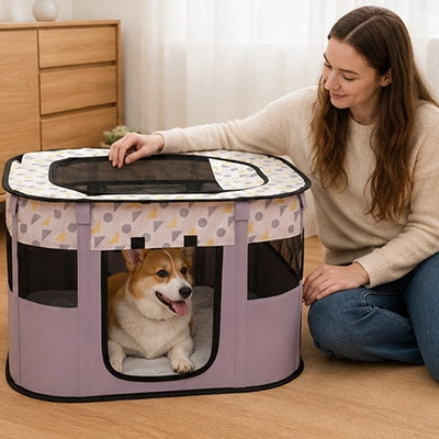 parc pour chien violet avec chiot et proprietaire a cote