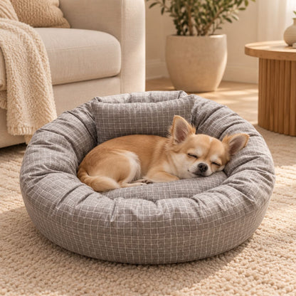 petit panier chien gris chihuahua endormi