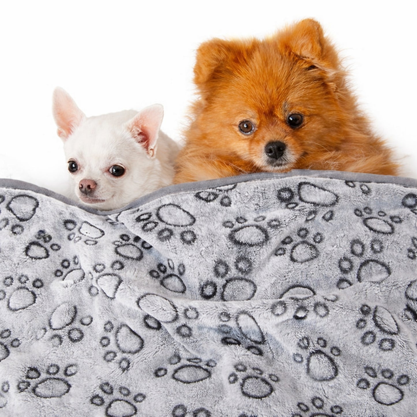 Couverture douce pour chien – grise