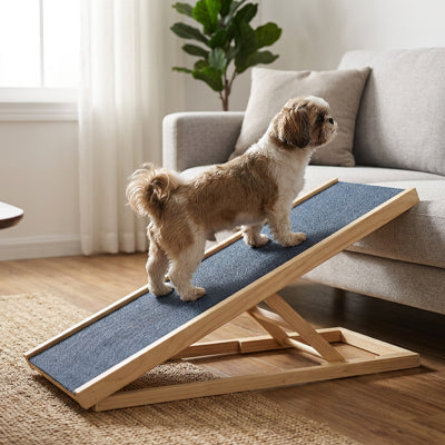 Rampe pour chien en bois avec surface antidérapante devant un canapé