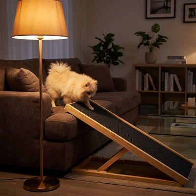 Rampe pour chien pliable facilitant l'accès au canapé pour un petit chien