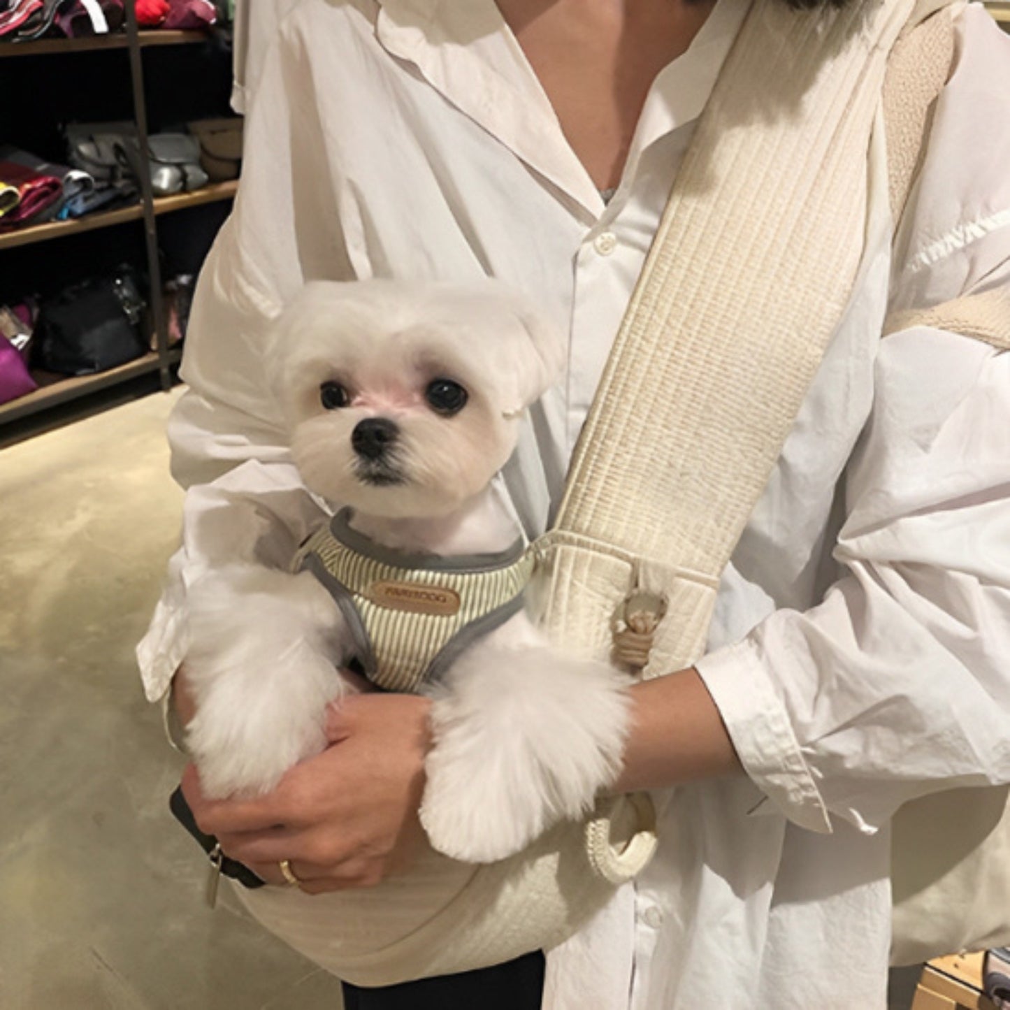 Sac de Transport pour Chien - Doux