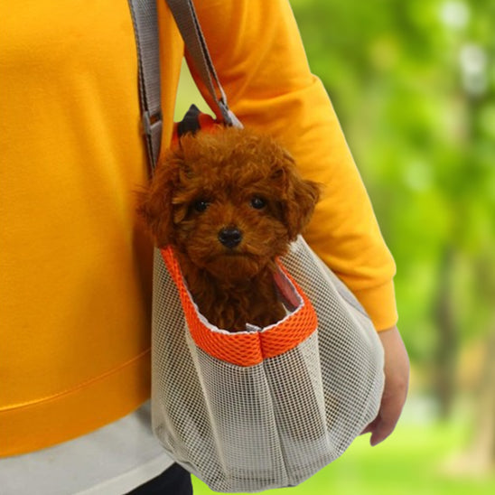 Sac de Transport pour Chien - Respirant