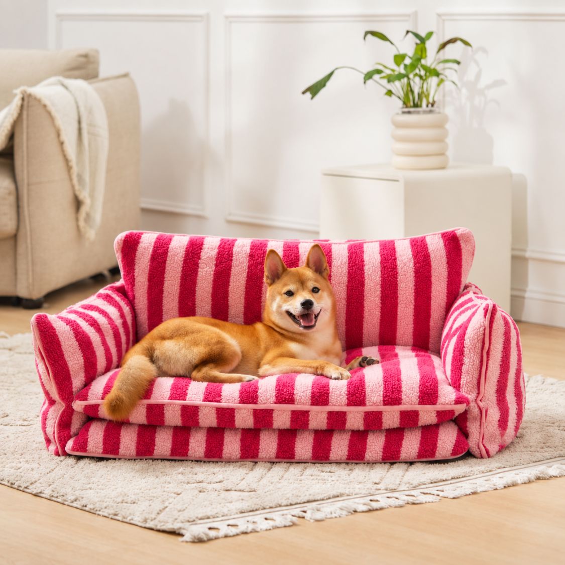 sofa pour chien rose petit chien installe