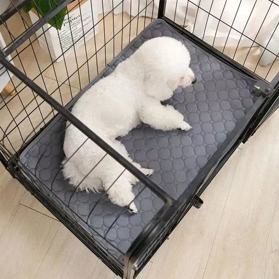 Tapis absorbant chien​ chiot gris 