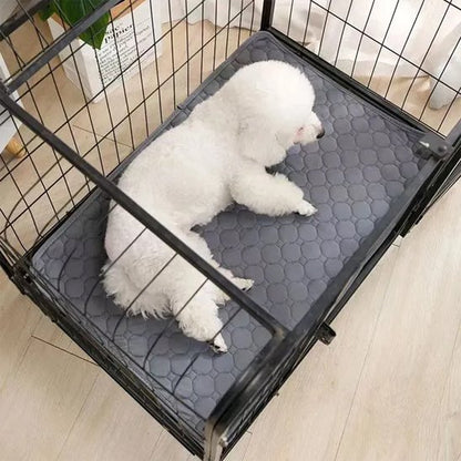 Tapis absorbant chien​ chiot gris 