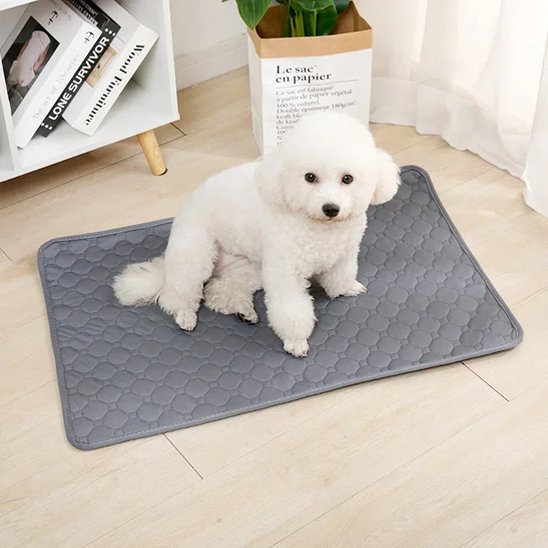 Tapis absorbant chien​ doux gris