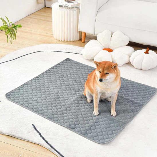 Tapis absorbant chien​ grand propreté