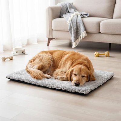 Tapis chien confortable antidérapant moelleux