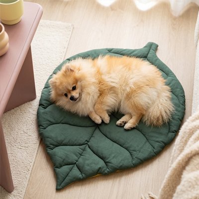 Tapis chien confortable en coton pour chiot
