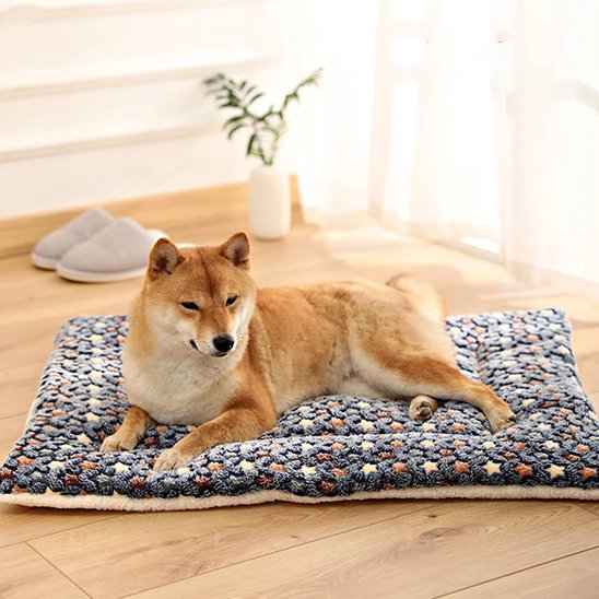 Tapis chien gris doux 