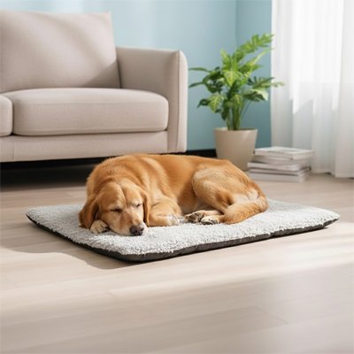 Tapis chien moelleux antidérapant