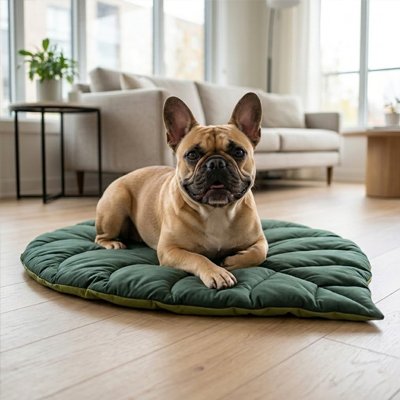 Tapis chien moelleux en forme de feuille verte