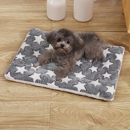 Tapis chien moelleux