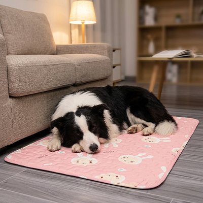 tapis chien rafraichissant avec chien allongé sur tapis rose