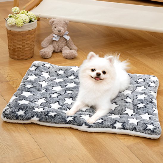 Tapis chien rembourré