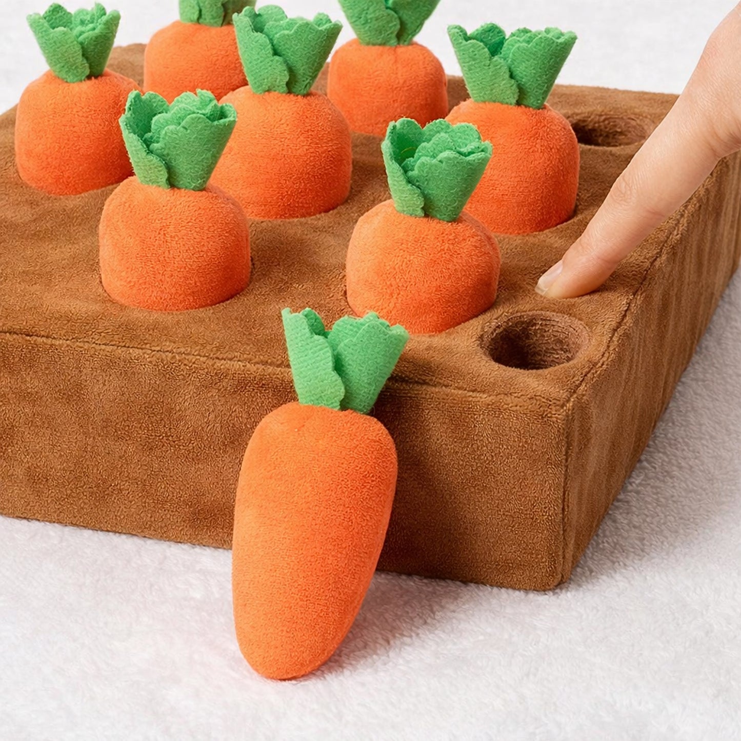 Jeu de fouille carotte pour chien