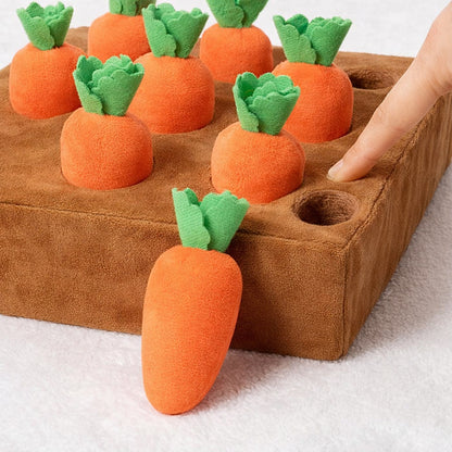 Jeu de fouille carotte pour chien