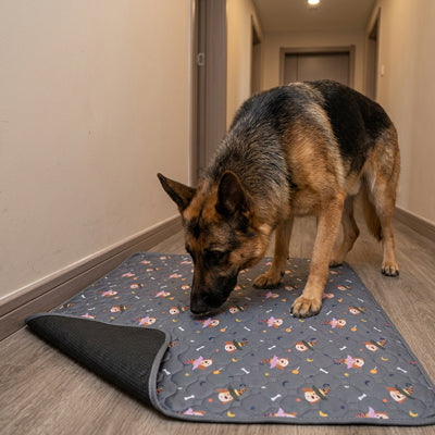 tapis pour chien antiderapant protection sol gris