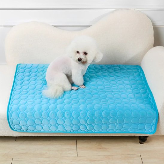 Tapis pour chien bleu clair respirant avec petit chien blanc