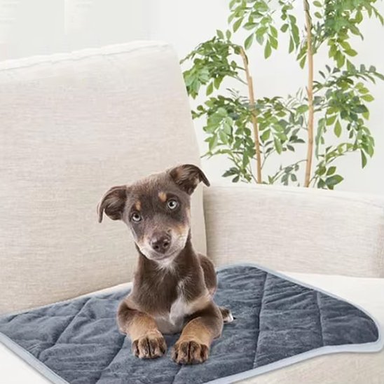 Tapis pour chien chauffant