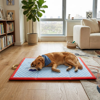 tapis pour chien confort pliable bleu salon