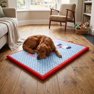 tapis pour chien confort pliable repos