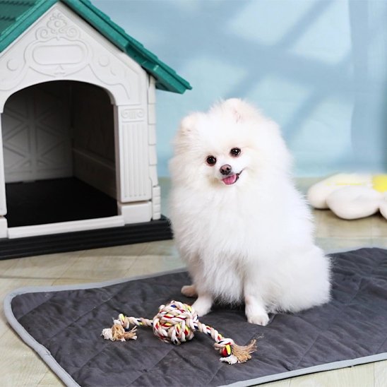 Tapis pour chien doux solide