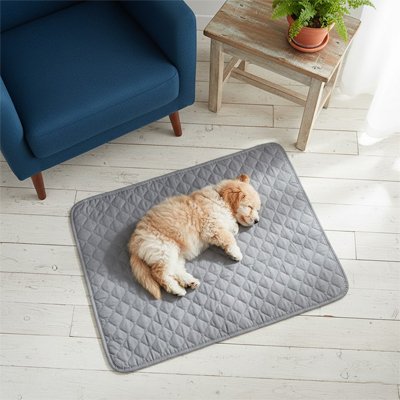 Tapis pour chien gris antidérapant