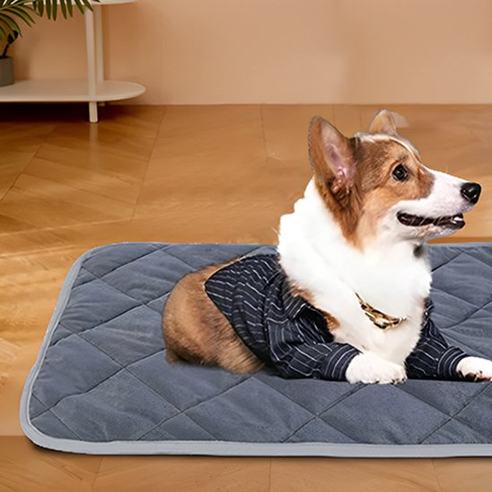 Tapis pour chien gris confortable