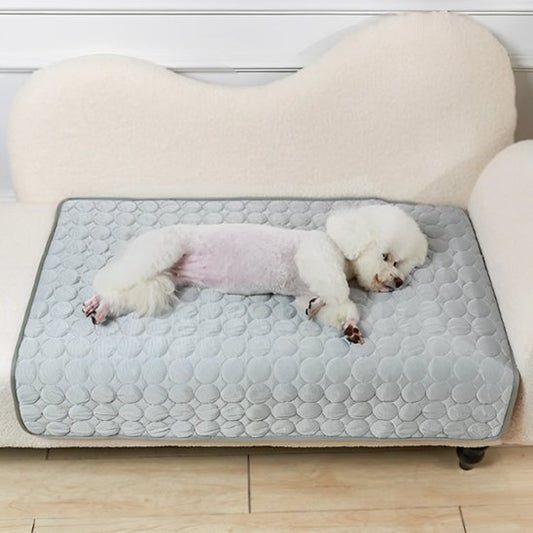 Tapis pour chien gris respirant avec chien endormi
