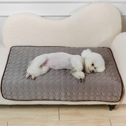 Tapis pour chien gris respirant avec chien endormi