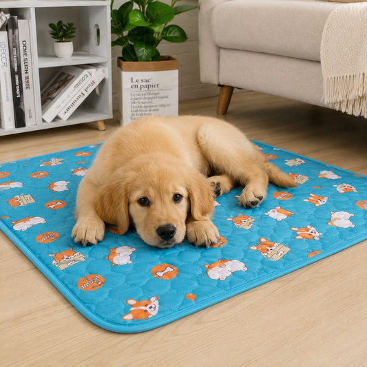 tapis pour chien lavable absorbant antidérapant bleu doux