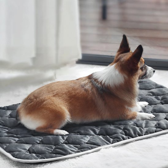 Tapis pour chien lavable