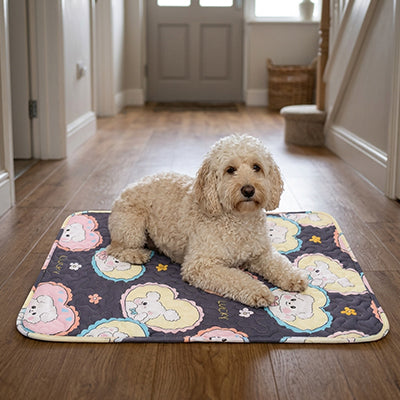 tapis rafraichissant chien autofresh bichon