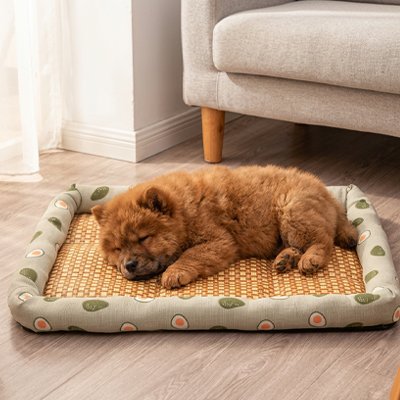 Tapis rafraichissant chien avec rebords rembourrés et surface en rotin