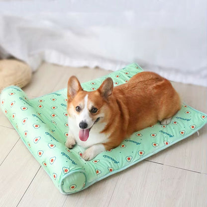 tapis rafraichissant chien coussin doux design avocat