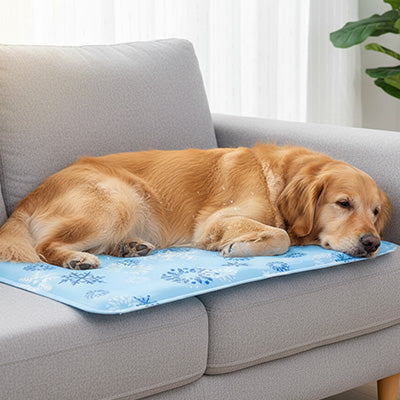 tapis rafraichissant chien gel fraicheur canape
