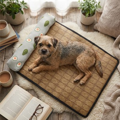 Tapis rafraichissant chien mousse confortable antidérapant