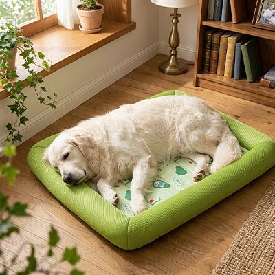tapis rafraichissant chien rebords respirants labrador
