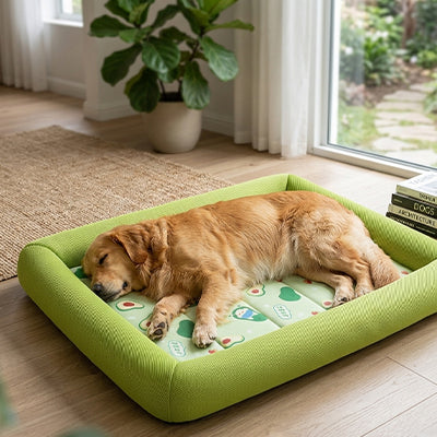 tapis rafraichissant chien rebords respirants sommeil golden