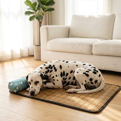 Tapis rafraichissant chien tissé en rotin respirant