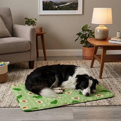 tapis rafraichissant pour chien design avocat border collie