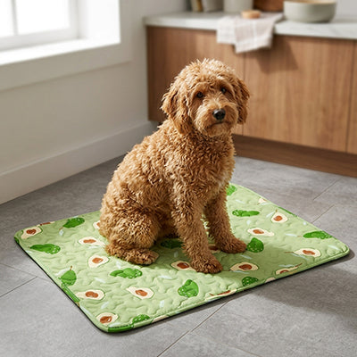tapis rafraichissant pour chien design avocat caniche